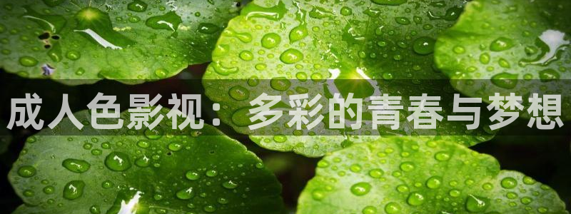 必勝韓國影視：成人色影視：多彩的青春與夢想